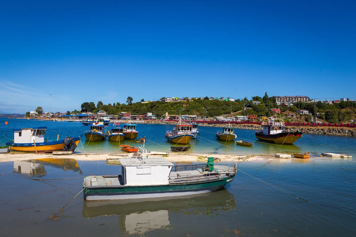 Pesca artesanal pide acceso a nuevas pesquerías ante escasez de la jibia e impacto económico local