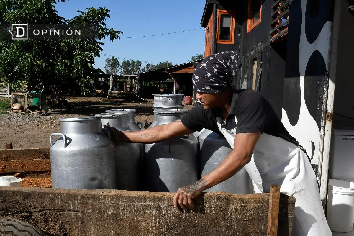 Arraigo y atracción de jóvenes para el desarrollo rural