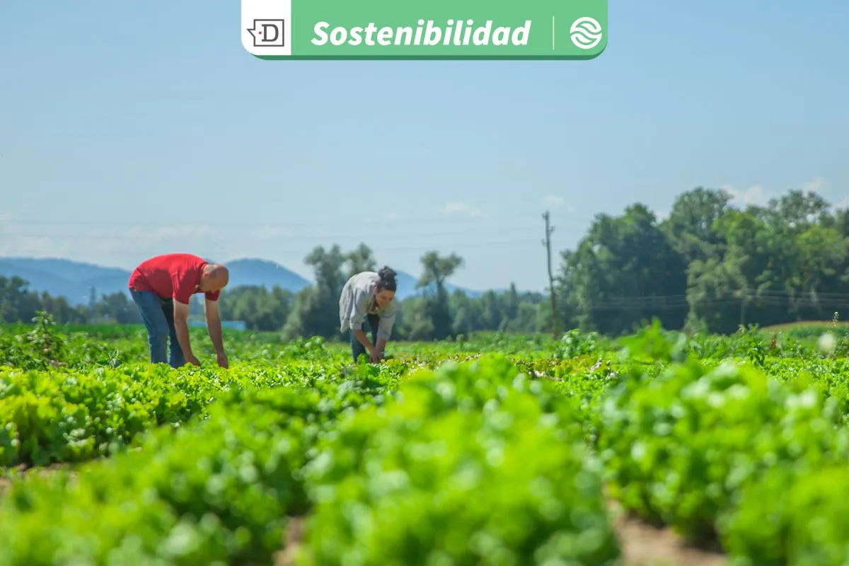 Horticultura sostenible en La Araucanía: Nuevo Acuerdo de Producción Limpia representa compromiso colectivo