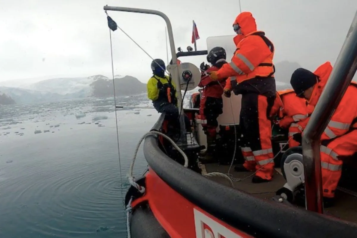 Efecto saltamontes: la crisis climática libera contaminantes del pasado atrapados en el hielo de la Antártida