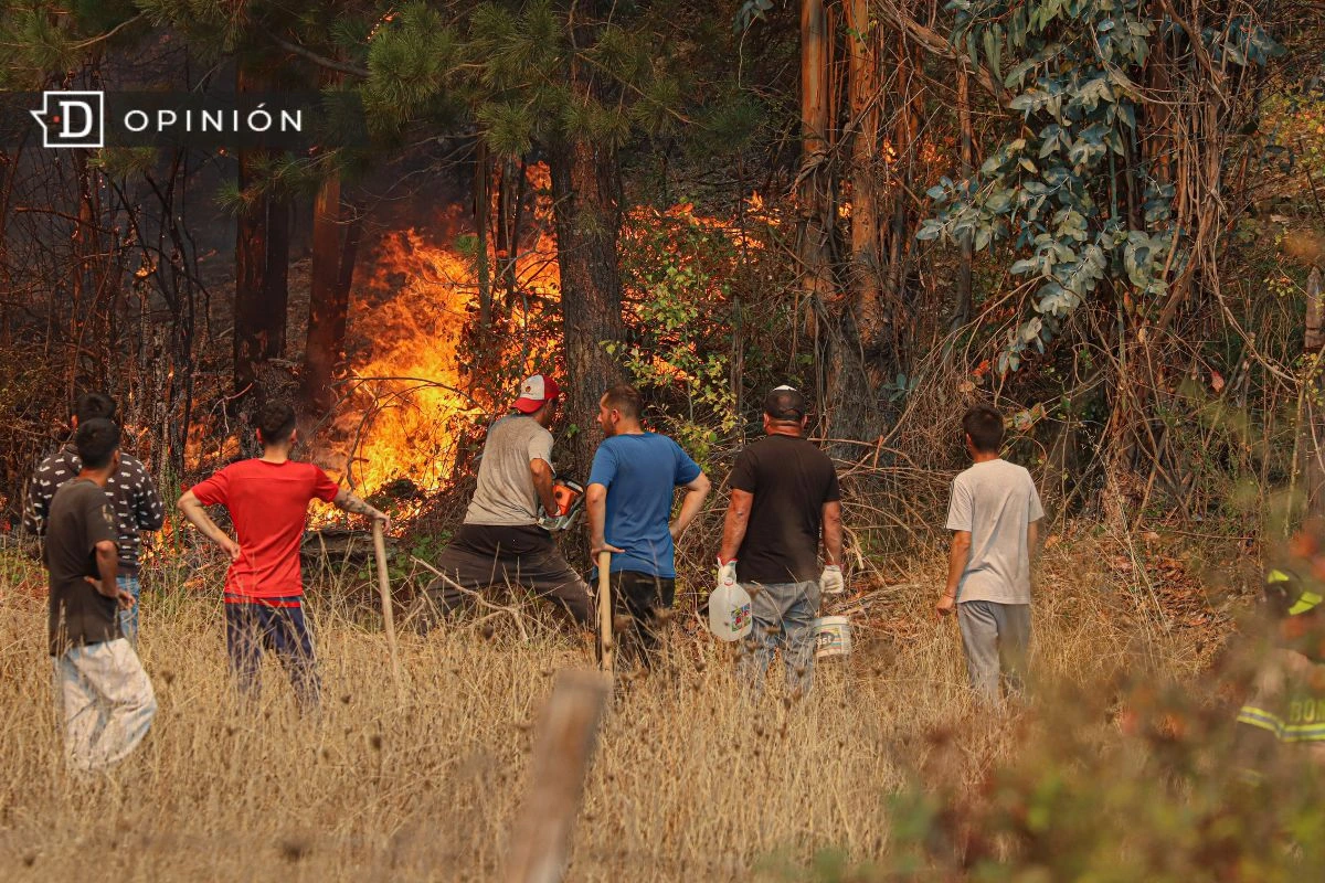 En un Chile que arde, urge una Ley de Incendios que escuche a los territorios