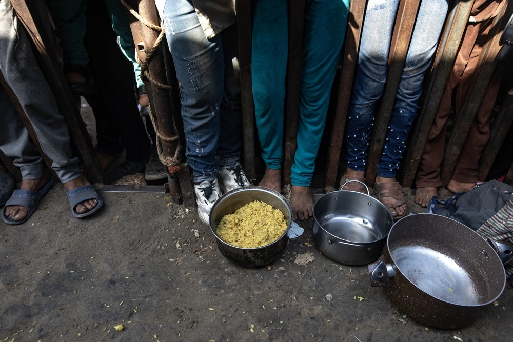 El difícil presente de la Franja de Gaza: Israel destruyó el 87% de los campos de cultivos de palestinos