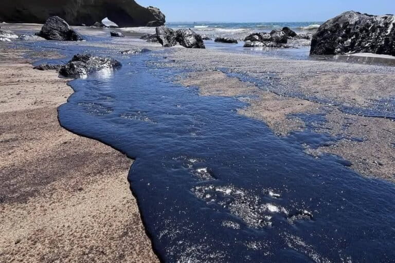 Un derrame de petróleo afectó las playas de Lobitos, en el norte de Perú, en diciembre de 2024.