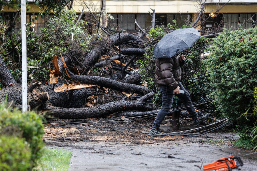 Viento batió récord histórico en Santiago y confunde a meteorólogos por intensidad inesperada