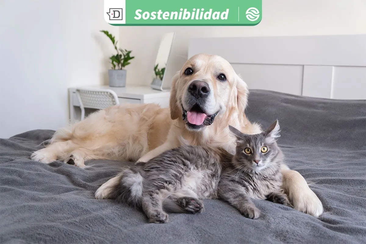 A solo días de las elecciones presidenciales y parlamentarias: Más de 100 candidaturas comprometidas con los animales