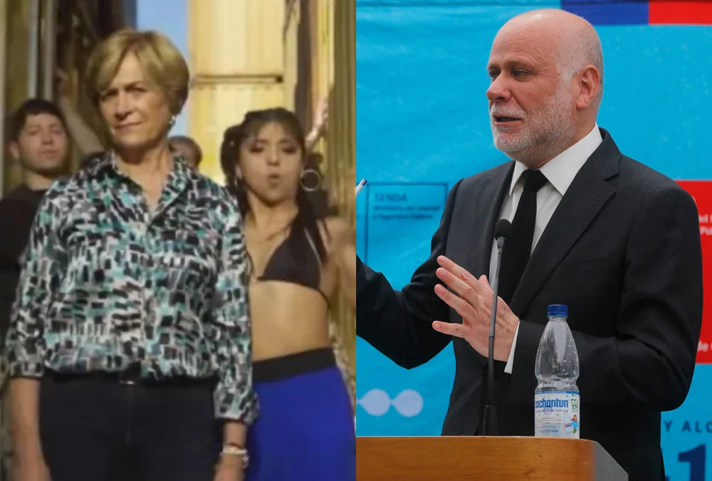 VIDEO| “Hasta un gato bailando con un micrófono suena mejor”: Ministro Elizalde y su análisis a videoclip de Matthei