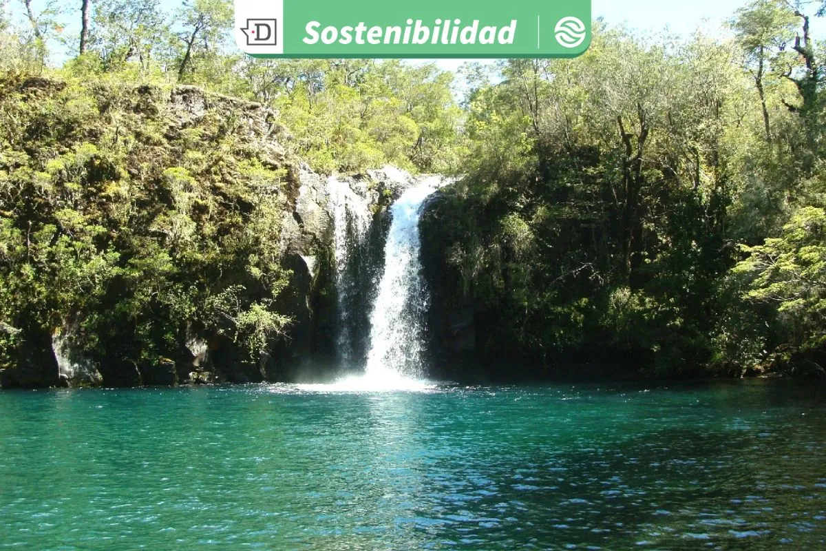 V Encuentro de Áreas Protegidas y Comunidades Portal: Actualizan Marco de Bonos Vinculados a la Sostenibilidad