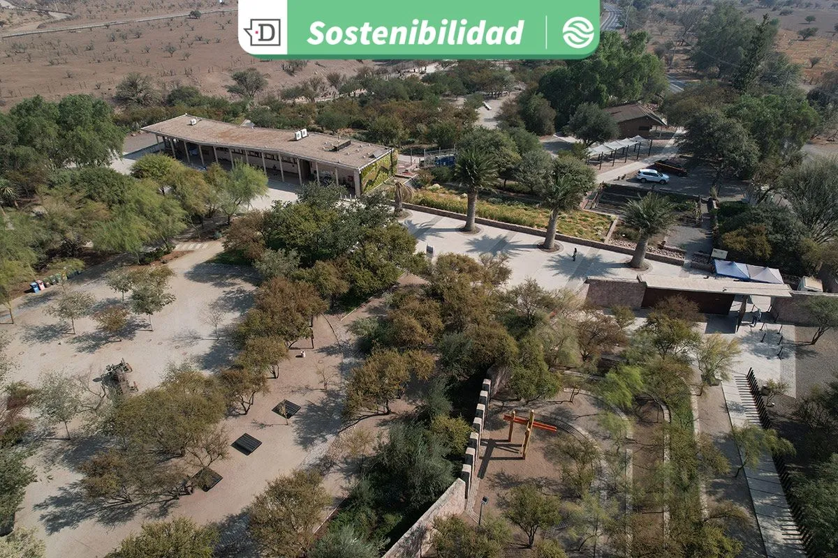 ¿Conoces el Parque Quilapilún?: Visita el jardín botánico gratuito en la comuna de Colina que protege 150 especies nativas