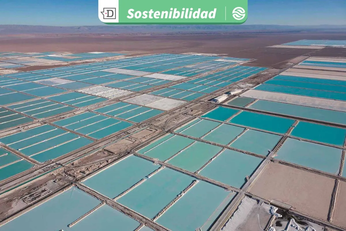 Decisión clave para el país: China aprueba acuerdo entre SQM y Codelco para incrementar la producción de litio en Chile