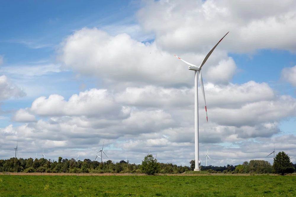 COP30: Las energías renovables, en el centro de la desinformación climática con Chile como protagonista