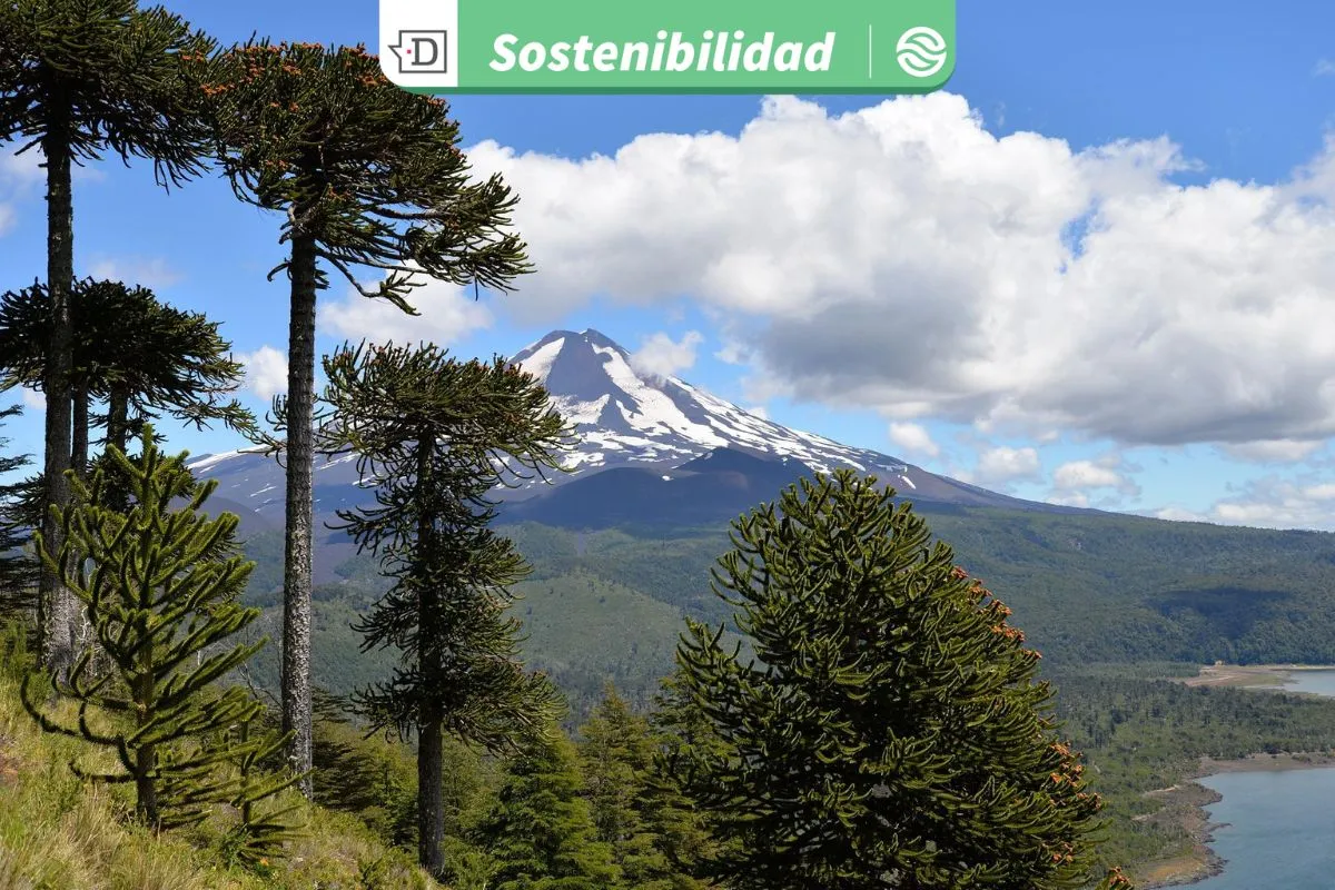 Prevenir impactos negativos sobre personas y comunidades: Llaman a candidaturas a integrar derechos humanos en propuestas