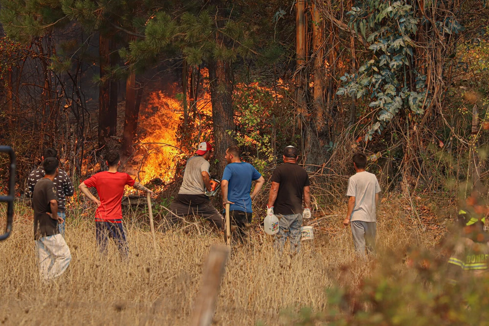 Alerta Temprana Preventiva por peligro de incendios forestales: Zona Central llegará hasta los 35 grados