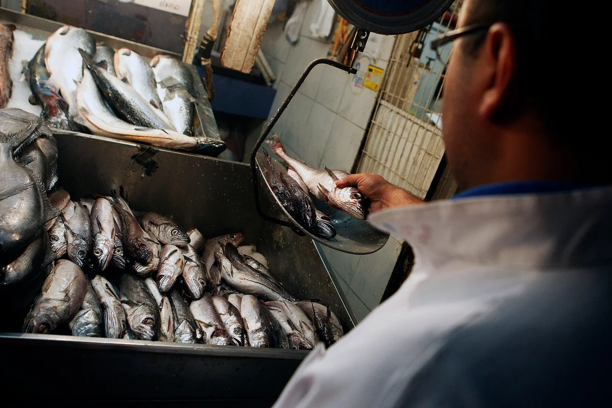 Cómo salvar a la merluza común: Las 5 medidas propuestas por la pesca artesanal para enfrentar la escasez