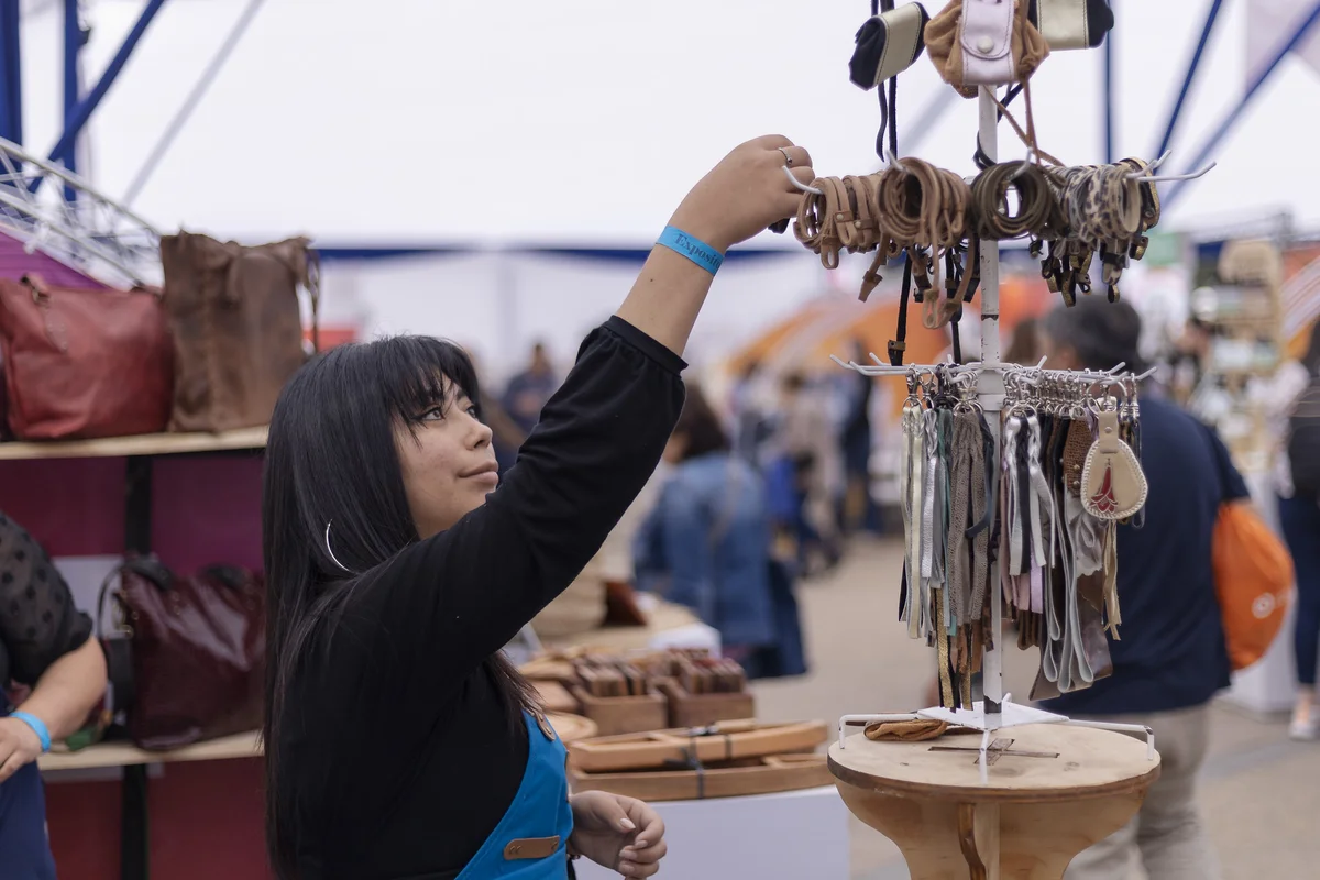 Chile Emprende: El nuevo buscador de programas de fomento, subsidios y concursos para pymes y cooperativas