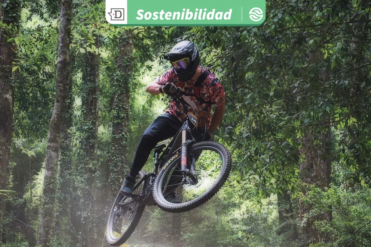 Patrimonio, comunidades y deporte: La carrera que se preocupa por la flora y fauna en la Reserva Biológica Huilo Huilo