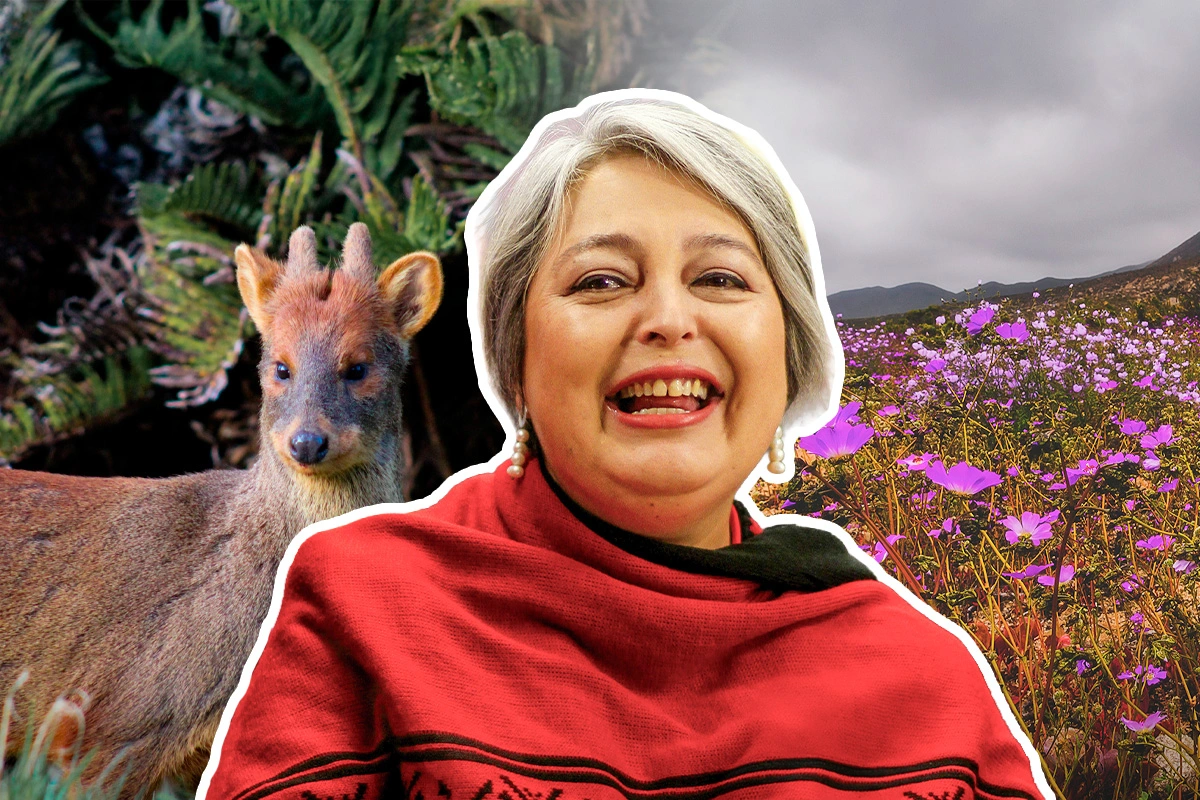 Modernizar industrias para reducir el impacto ambiental en los territorios: La propuesta verde de Jara para Chile