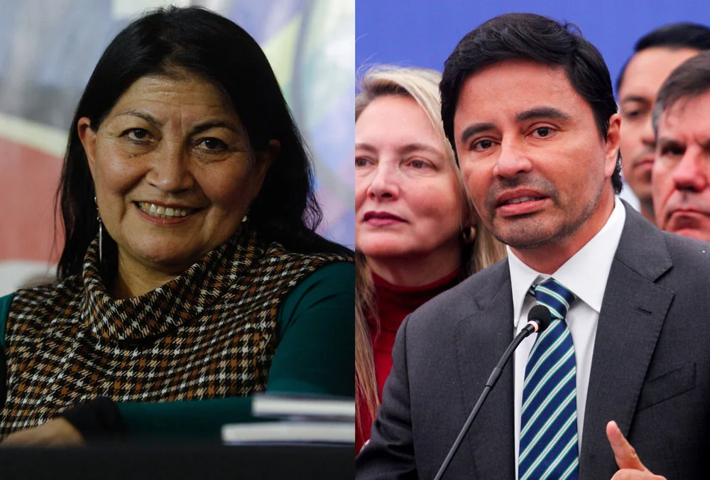 Rodolfo Carter, Huenchumilla, Camila Flores y Vanessa Kaiser: Las nuevas cartas que llegarán al Senado tras las elecciones 2025