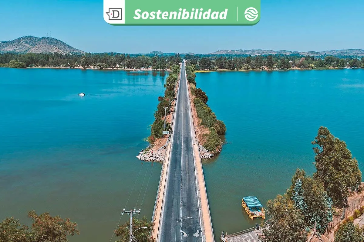 Ruta de la Fruta destaca como proyecto sustentable: Cuenta con sistema hídrico eficiente, especies nativas y menos emisiones