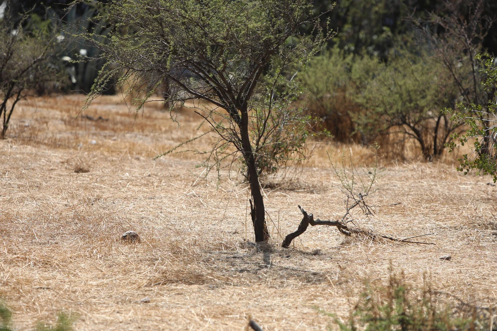 Los malos augurios para Chile si no se hace nada: A fines de este siglo nos quedaremos son glaciares