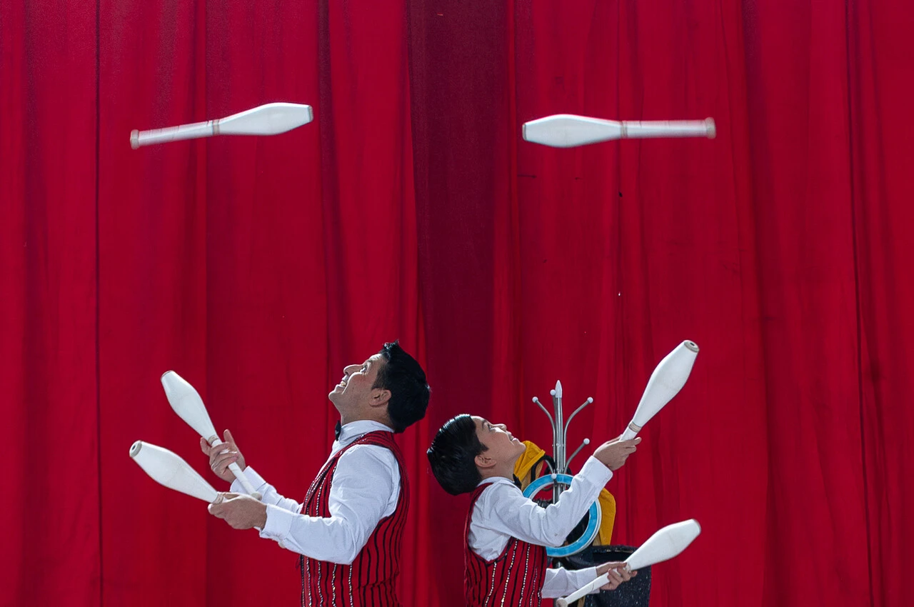 El Circo chileno postula como Patrimonio Cultural Inmaterial de la Unesco