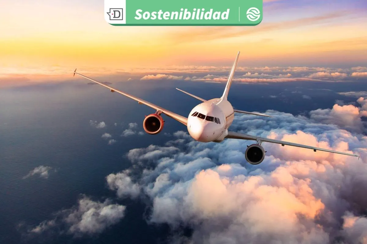 Combustibles sostenibles para aviones: Aceite de cocina usado y residuos son clave para potenciar producción chilena