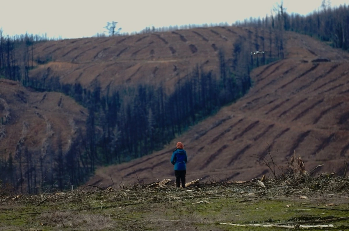 Plantaciones forestales en el centro sur de Chile.