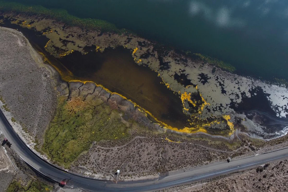 Derrame de 25 mil litros de aceite de soya afecta a fauna del Lago Chungará y obliga al cierre del Parque Nacional Lauca