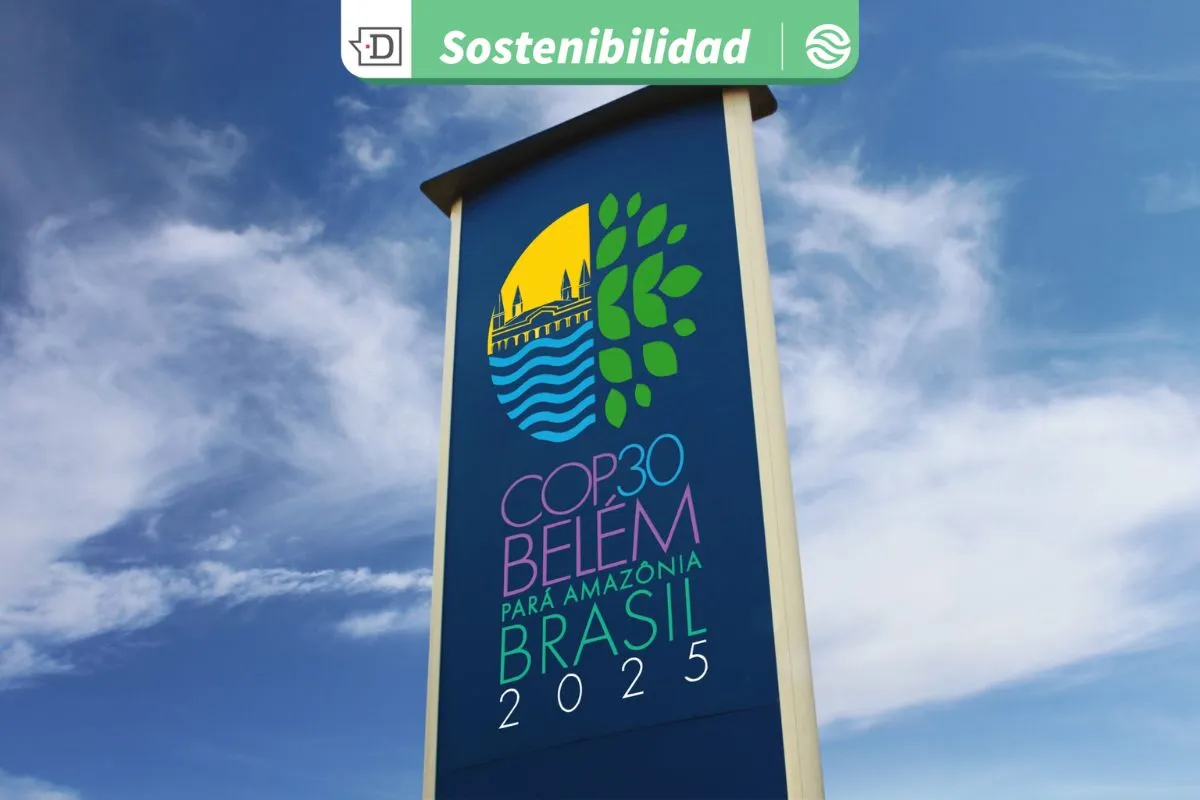 Por un nuevo modelo energético: Minerales de transición ingresan por primera vez al texto de la COP30