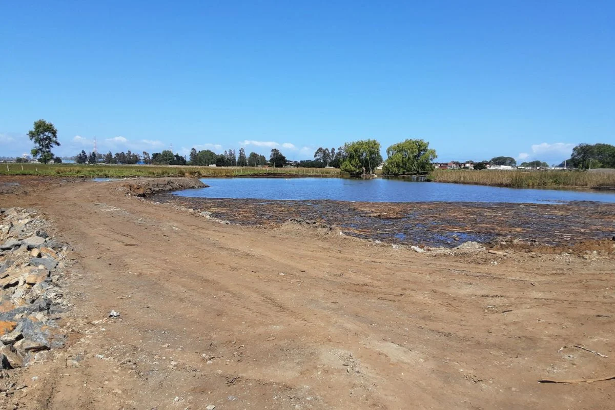 Ordenan paralización de proyecto inmobiliario en Coronel tras detectar humedal emergente con presencia de fauna
