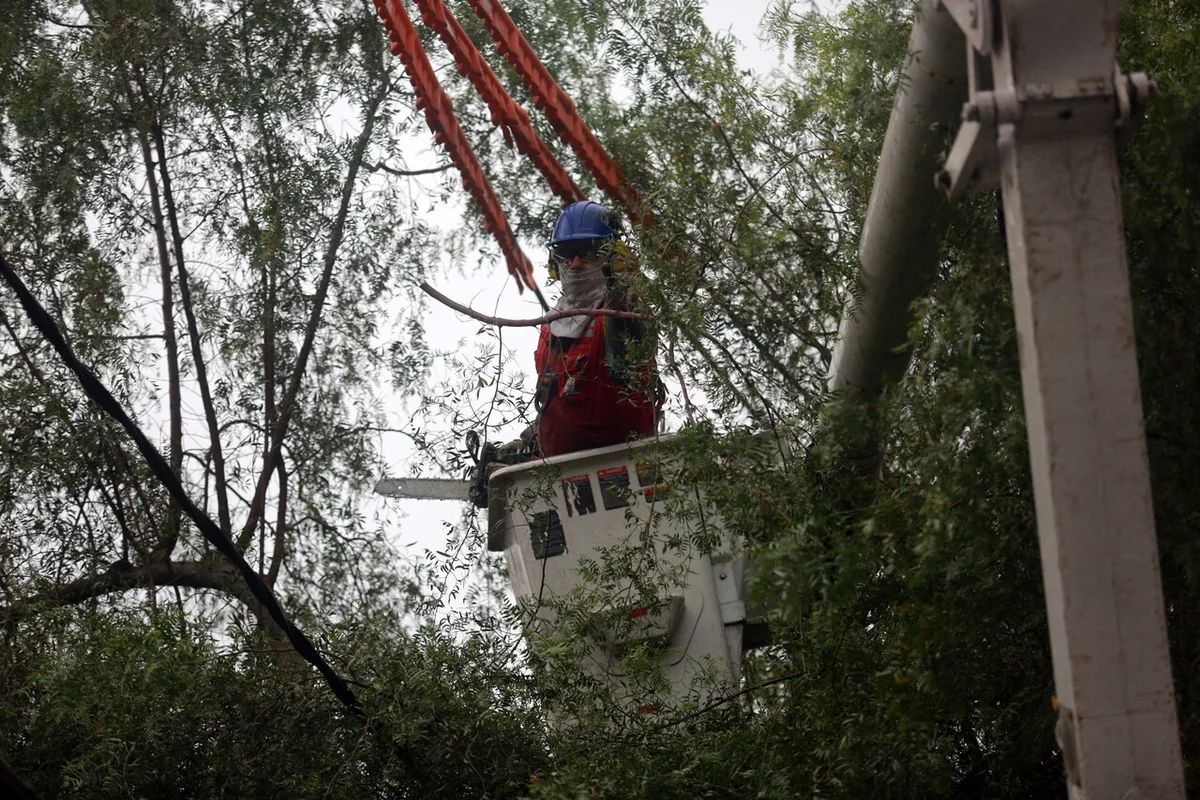 Cortes de luz programados para este domingo 23 de noviembre en Santiago: Revisa comunas y horarios