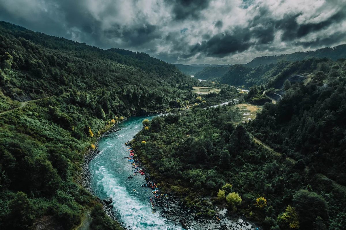 Organización ambiental logra paralizar proyecto salmonero en río San Pedro, en Valdivia: Tribunal acoge reclamo