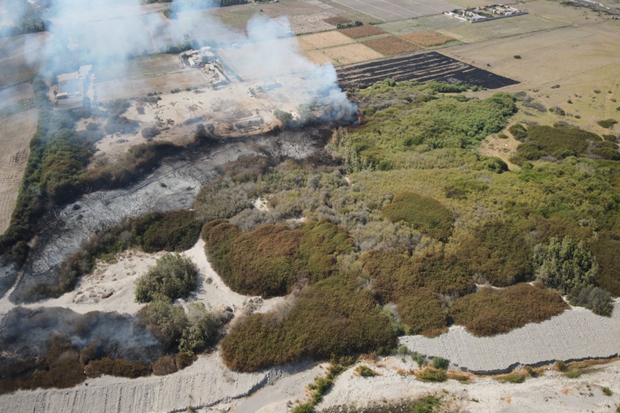 Incendios en el desierto: Se duplicaron siniestros en Arica en el último año, en zonas agrícolas