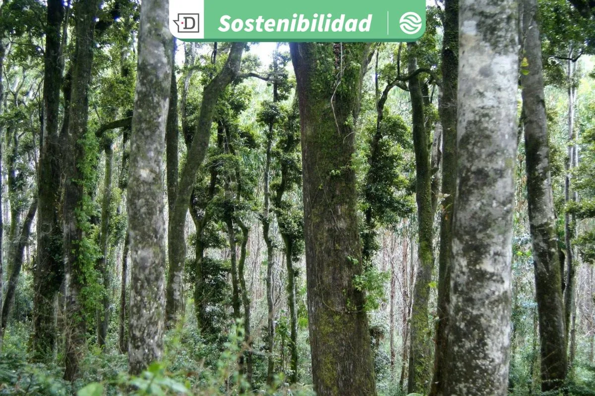 Seminario internacional en Valparaíso propiciará diálogo sobre el modelo de desarrollo y los derechos humanos en Chile