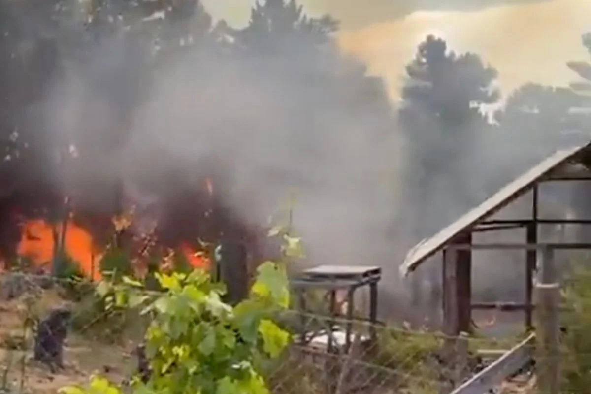 Decretan Alerta Roja para comuna de Valparaíso por incendio forestal en Laguna Verde: Ordenan evacuación