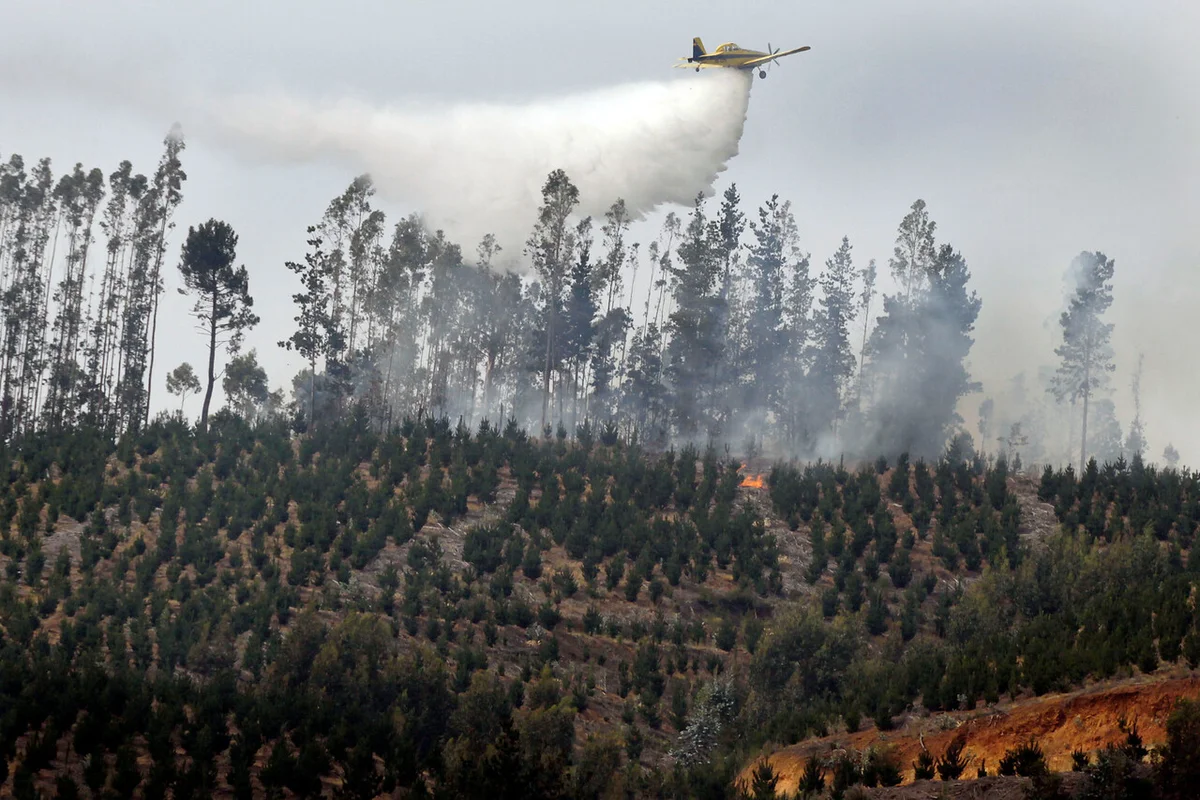 La millonaria inversión para al Biobío que combatirá incendios y beneficiará a 450 familias propietarias forestales