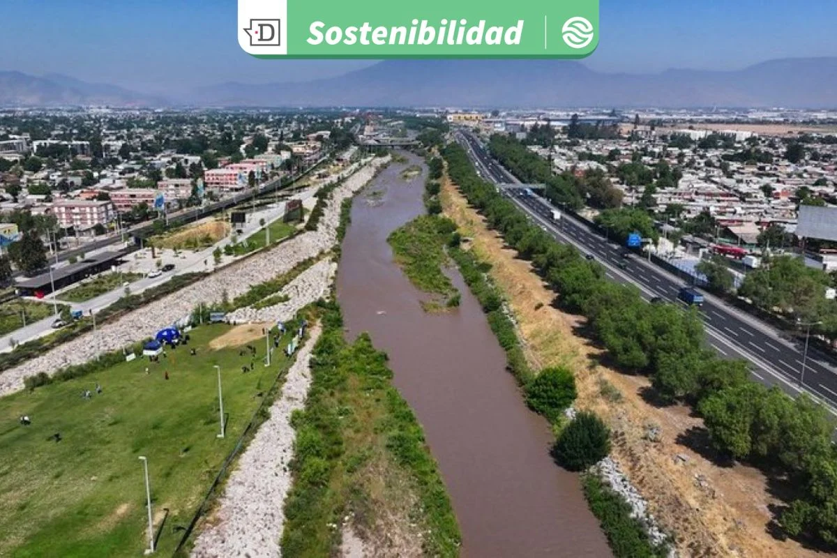 Río Mapocho recupera biodiversidad tras 15 años de saneamiento: Experto explica claves del proceso y desafíos pendientes