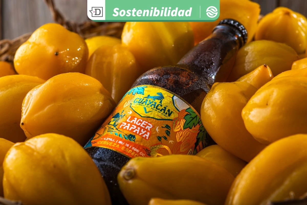 La primera cervecería solar de Chile y su producto con pulpa de papaya 100% natural: Ahora disponible en lata de 500cc