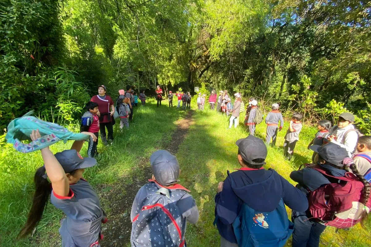 La apuesta de cinco escuelas rurales en Liquiñé para educar sobre bosque nativo y agua en tiempos de crisis climática