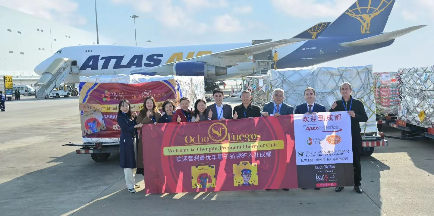 El sistema pionero que certifica la originalidad de los productos que llegó a China junto a cerezas chilenas