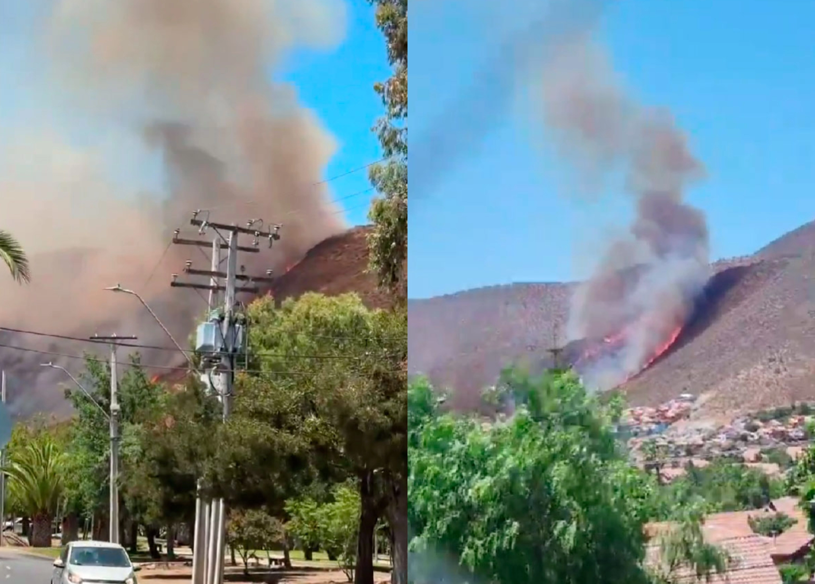 VIDEO| Incendio forestal en comuna de Pudahuel amenaza viviendas en zona de Ciudad de Los Valles