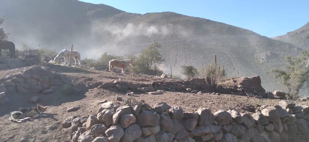 Polución emitida por Minera Tres Valles
