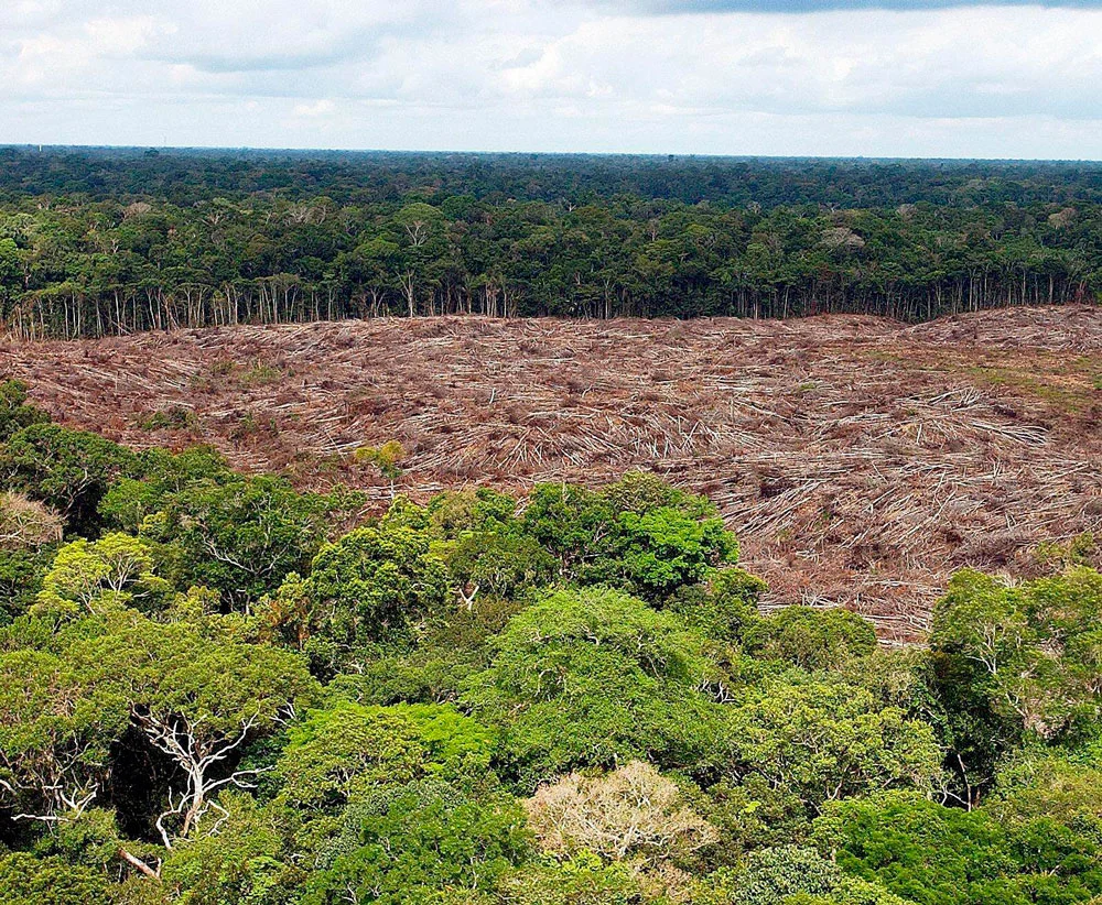 Una nueva amenaza para el planeta: Amazonas está creando un clima que no se veía hace decenas de millones de años