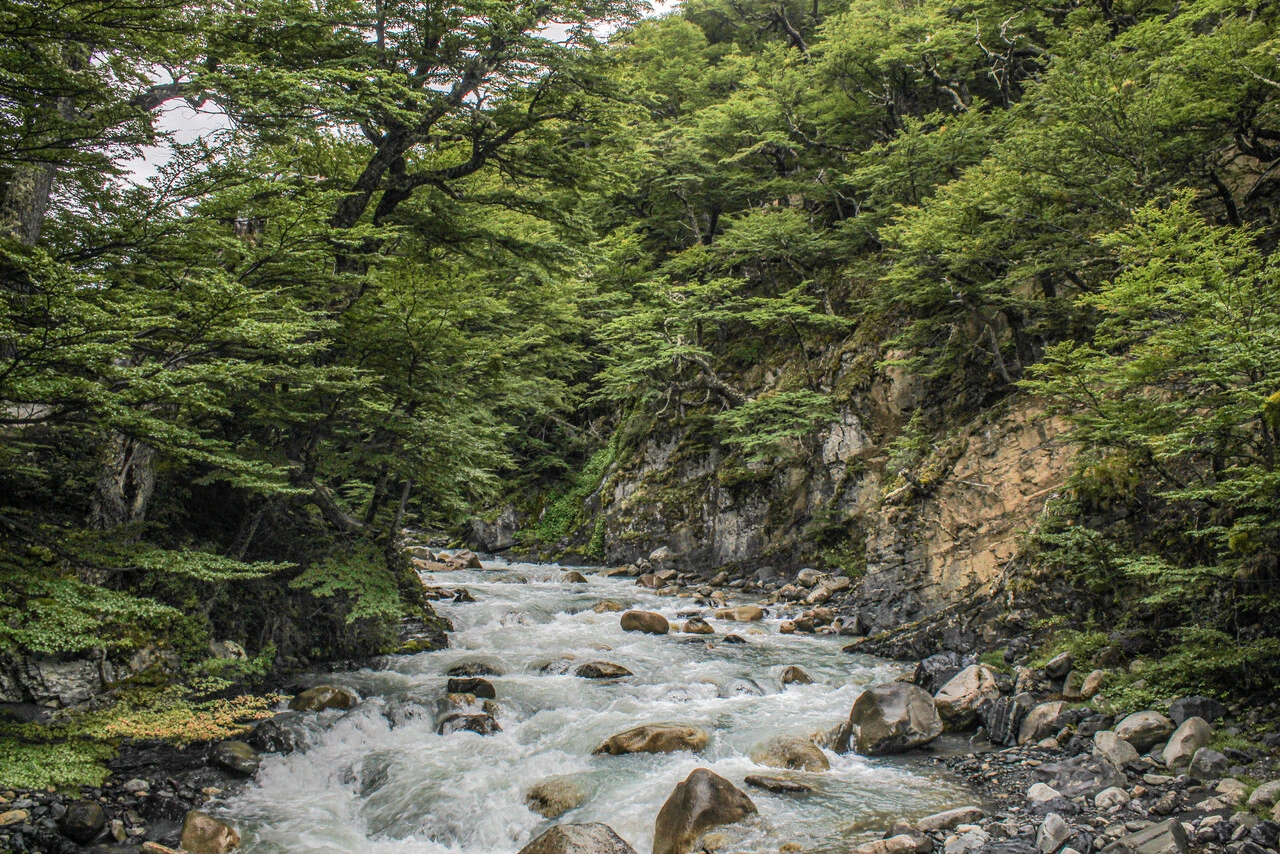 Secretario general de la ONU advierte que en el planeta 