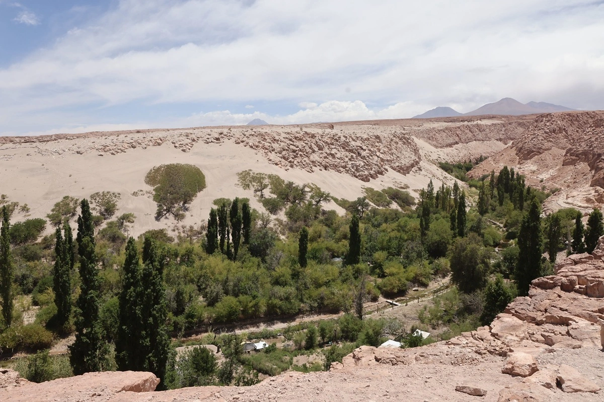 Atacameños de Toconao reciben primeros derechos de agua en Chile que no son para consumir sino para dejar en la naturaleza