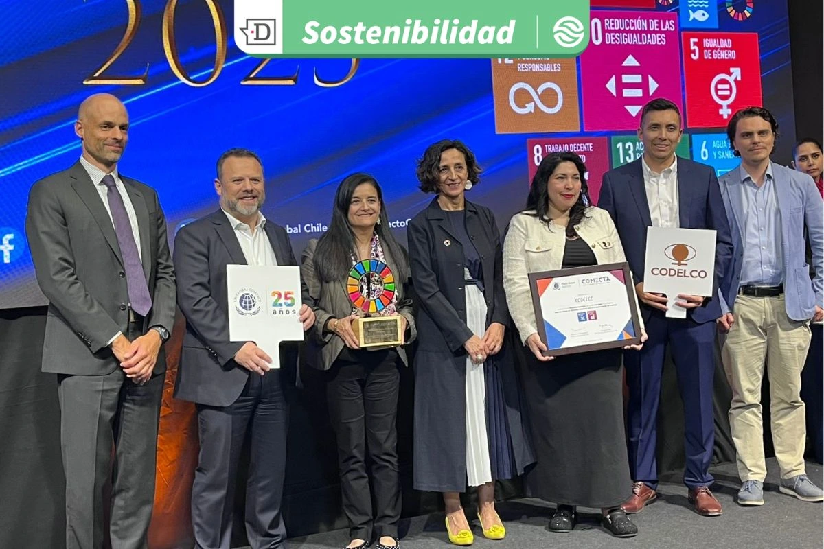 Con cursos de formación para trabajadores y aportes a proyecto de ley: Codelco gana premio de derechos humanos y empresas
