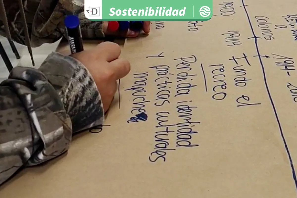 Con temas como debida diligencia y derechos de pueblos indígenas: 35 personas concluyen proceso formativo en DD.HH y empresas