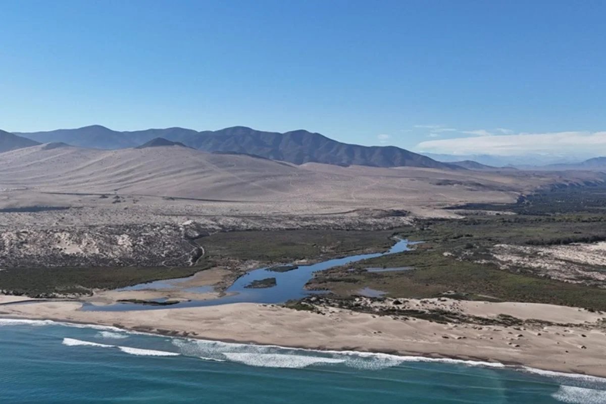 Atacama celebra el reconocimiento oficial de su tercer humedal, la desembocadura del Río Huasco: 260 hectáreas protegidas