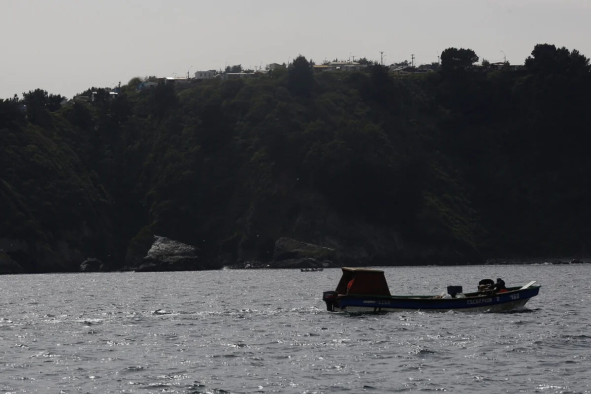 Comisión de Pesca aprueba reserva del mar de Valparaíso para la pesca artesanal ante sobreexplotación de merluza