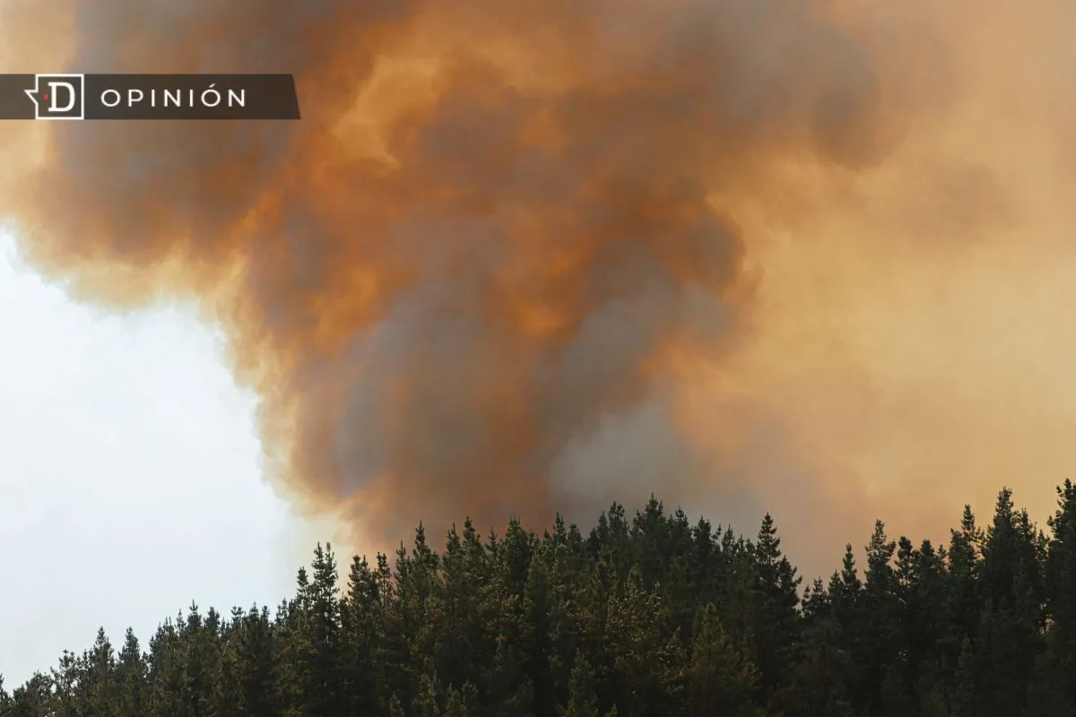 Incendios forestales: La necesidad de gestionar el espaciamiento de la vegetación