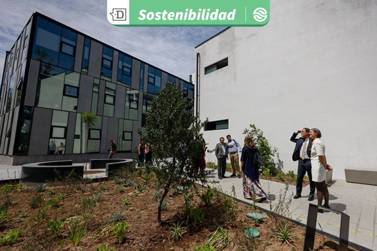 Espacios de trabajo adecuados ambientalmente y bajo consumo energético: College UC inaugura su nuevo edificio sustentable
